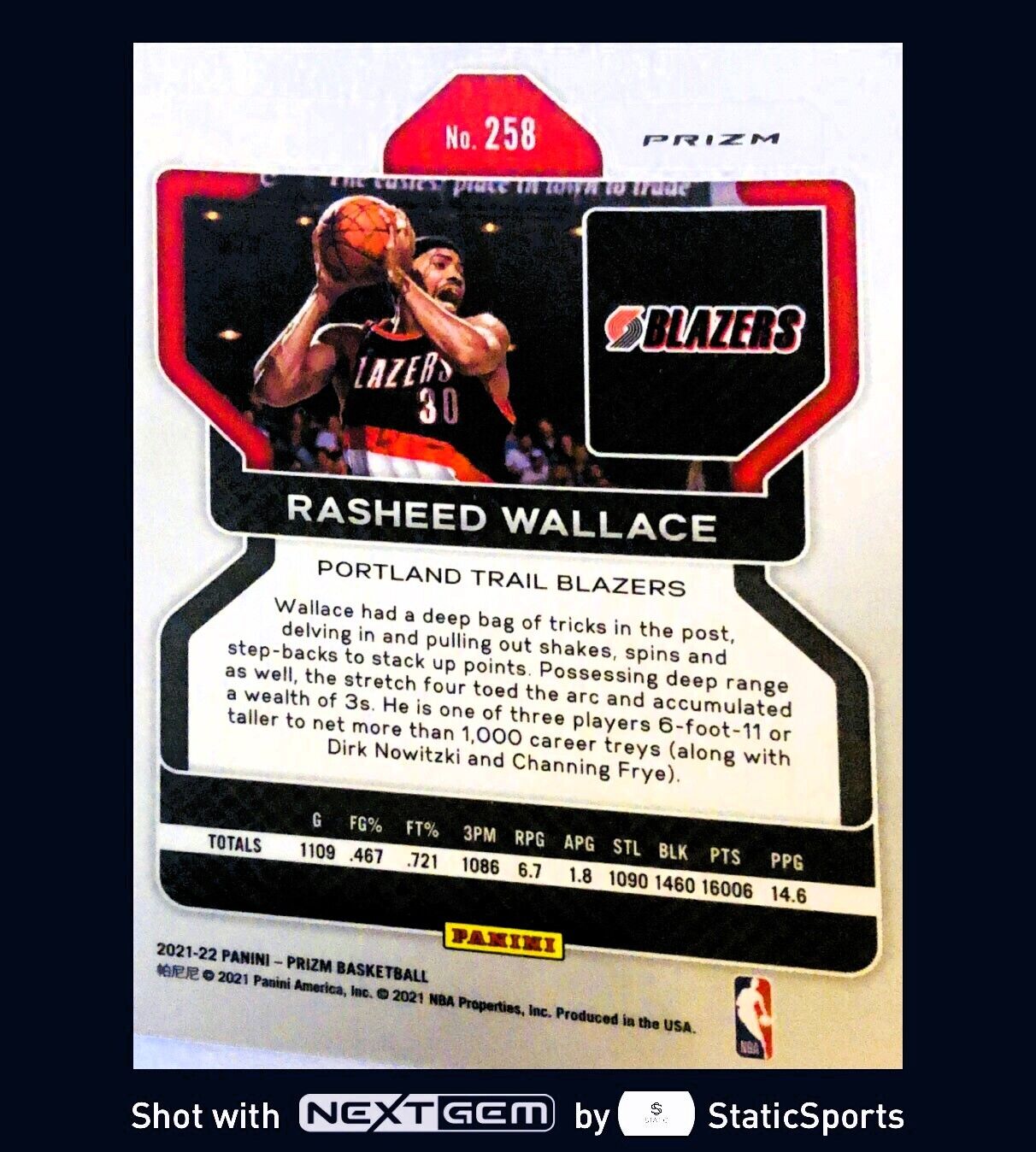 Rasheed Wallace - 2021 Panini Prizm-Prizm Red Cracked Ice #258